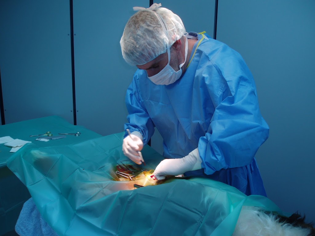 Centre Veterinari Triomf — Del propietario