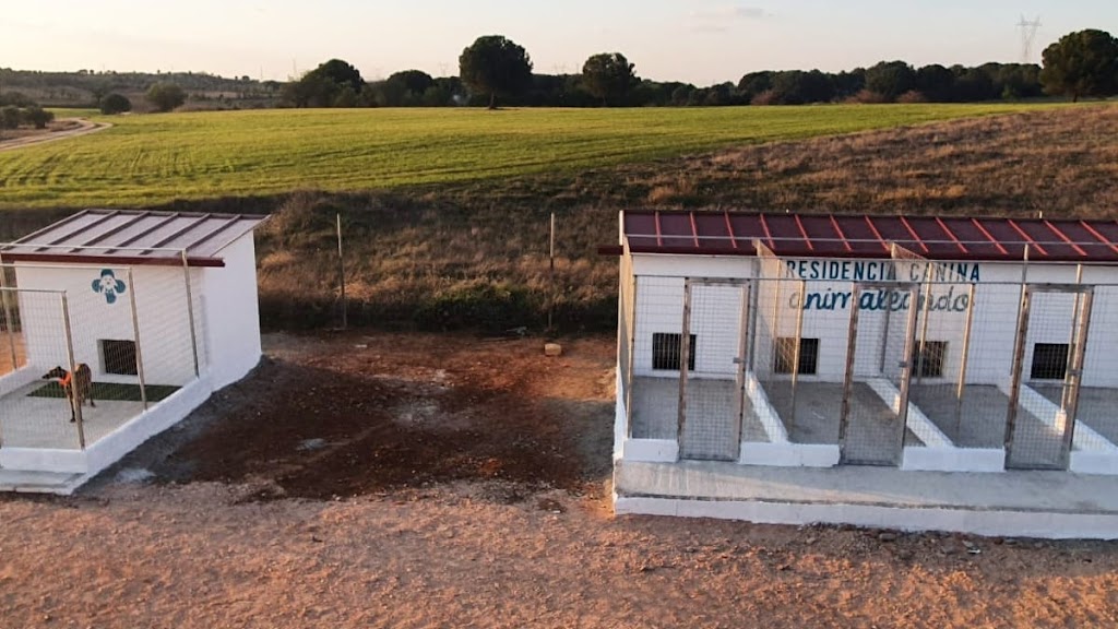 Residencia canina Animaleando