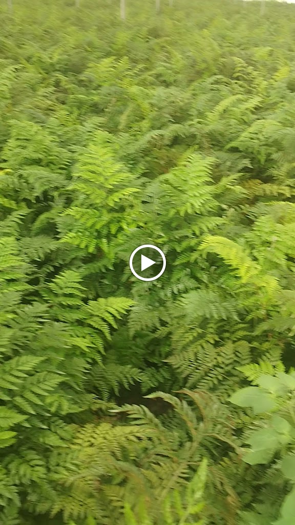 Aparcamiento ll Clientes Zona Comercial