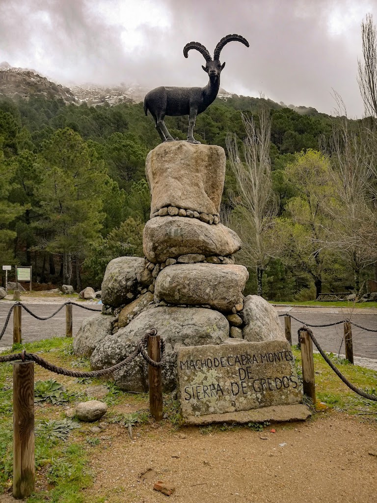 La cabra