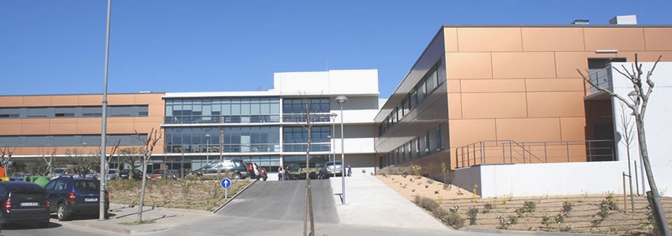 Fundacio Palafrugell Gent Gran