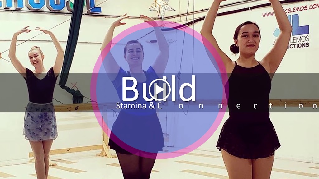  Joyce Lemos Aerial Arts & Dance Academy