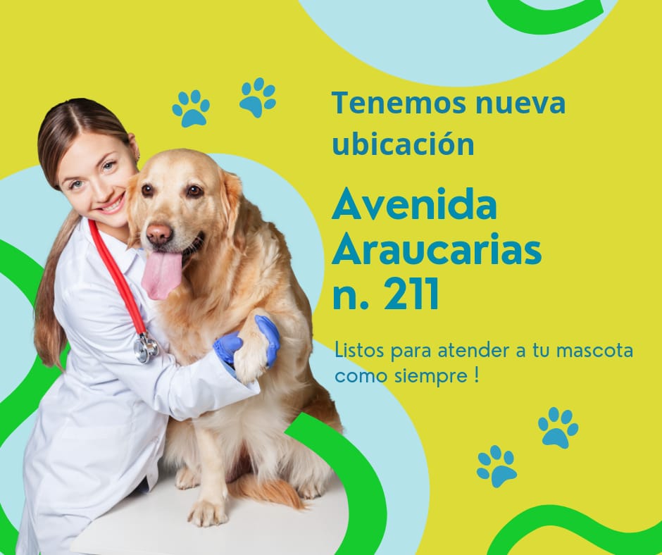 Perro