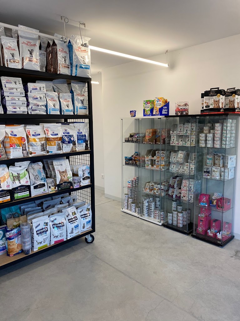 SOLOGATOS - AniCura Canido Clinica Veterinaria