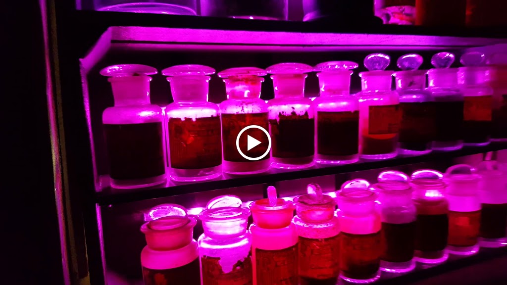 FARMACIA Colon BILBOTIKA Museo — Videos