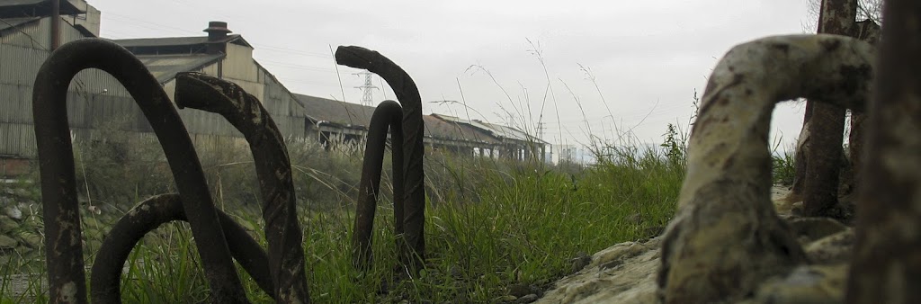 Asociacion Gure Lurra