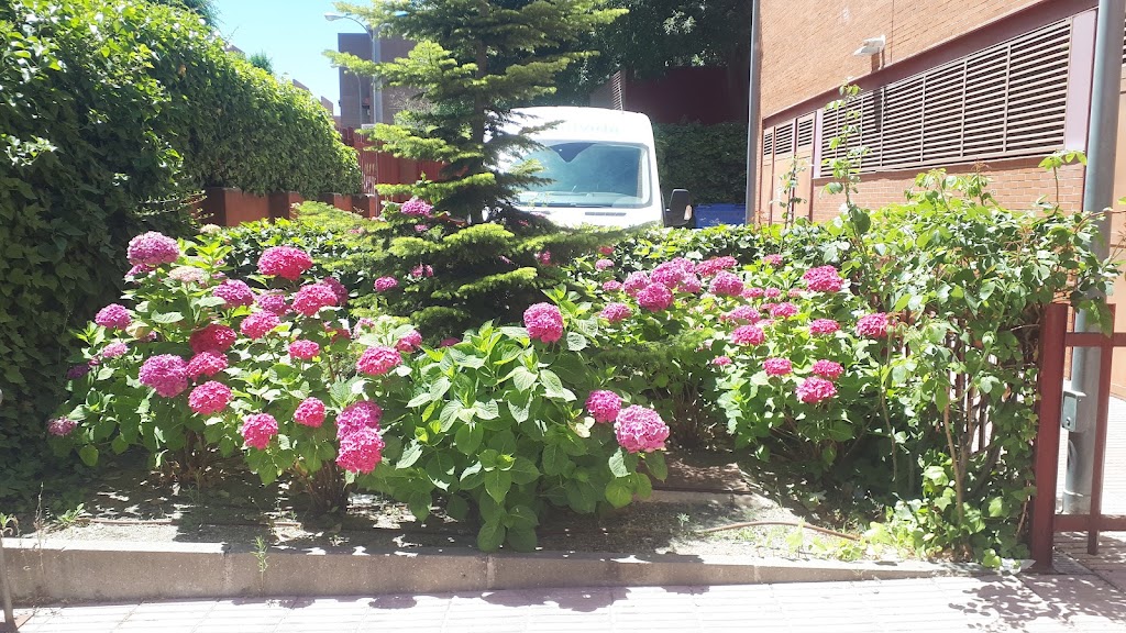 Centro de dia municipal Ramon Rubial