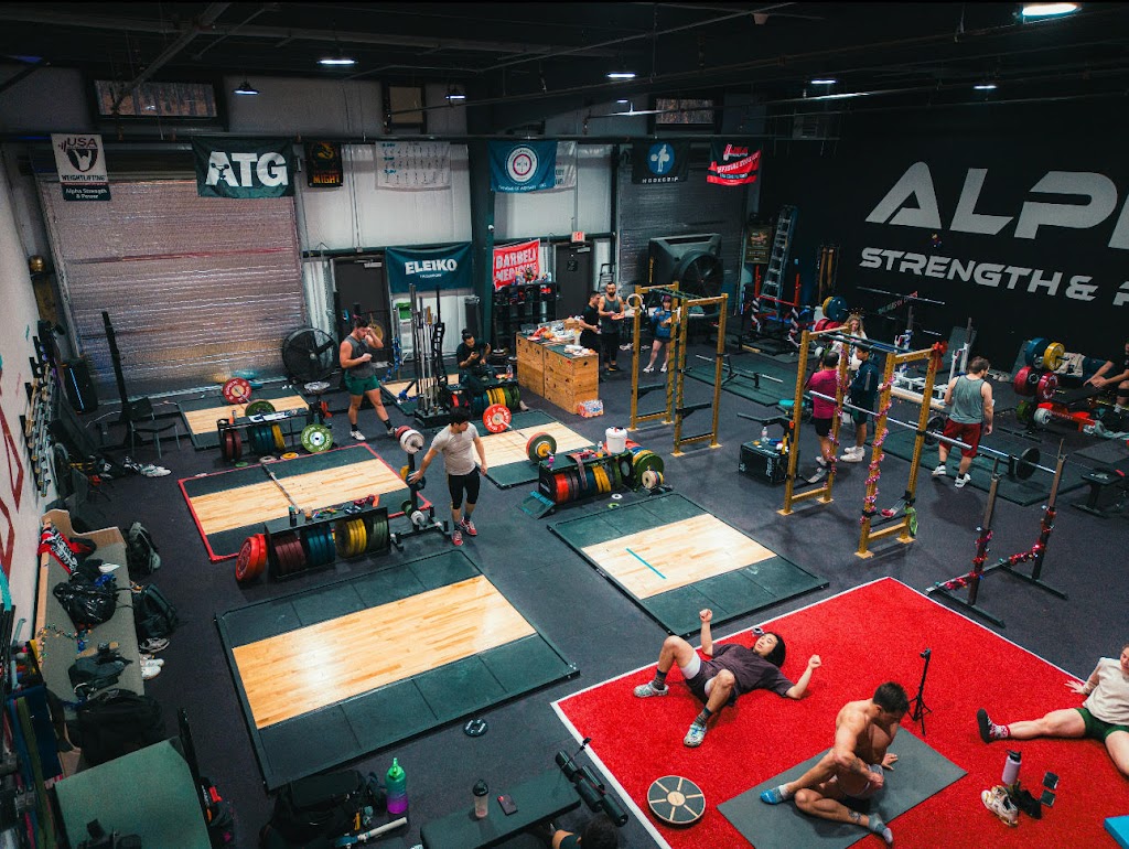  Alpha Strength & Power Gym