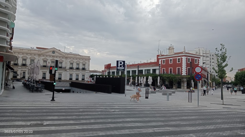 Alcazar De San Juan Psoe