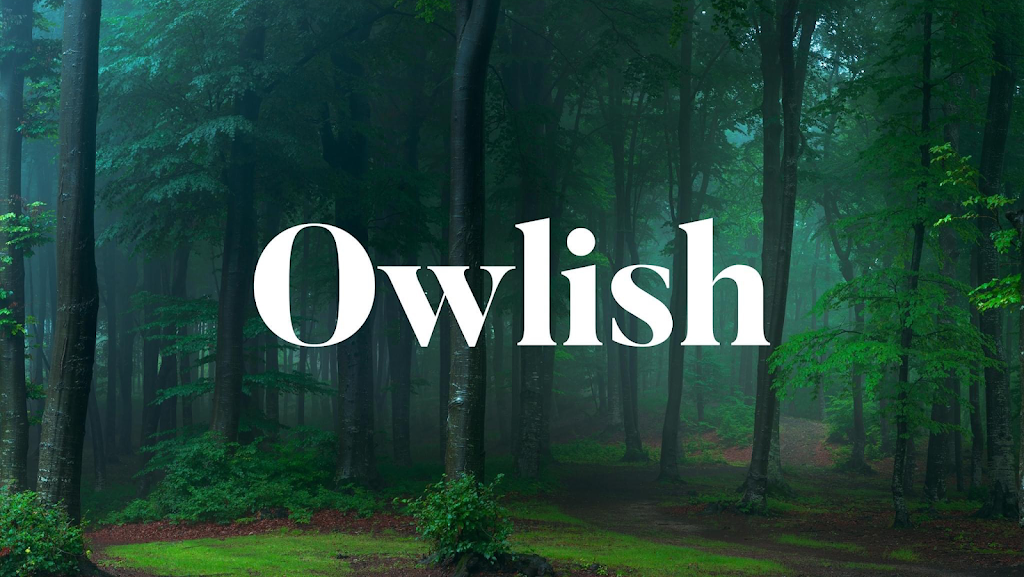 Owlish Agency