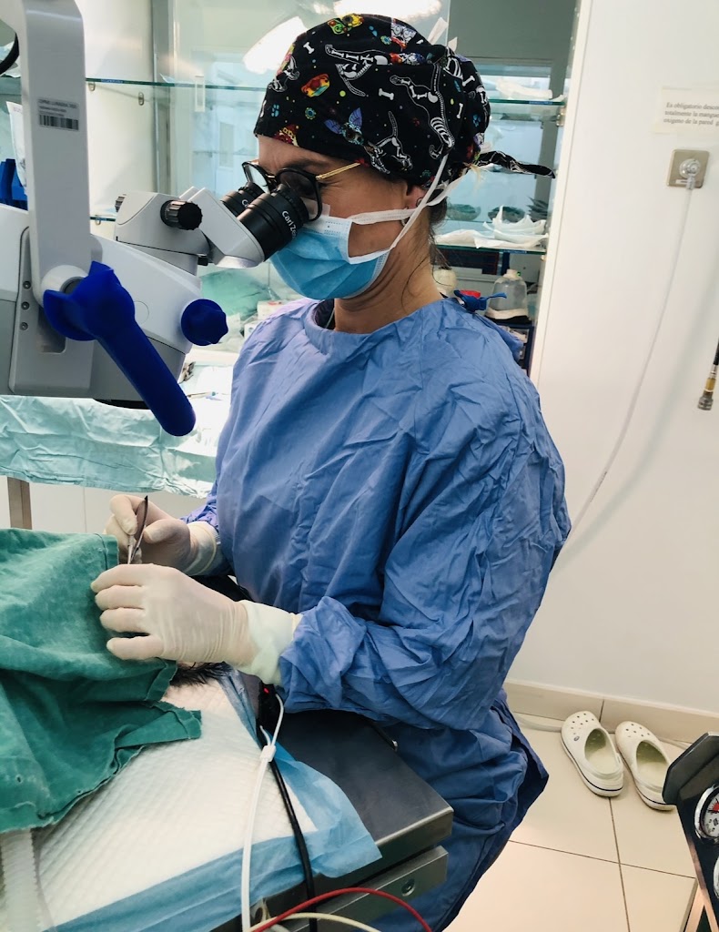 Oftalmologia Veterinaria Ana Delgado — Del propietario