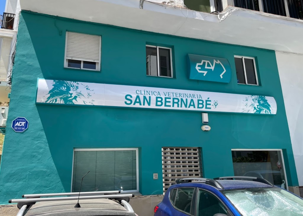 Clinica Veterinaria San Bernabe