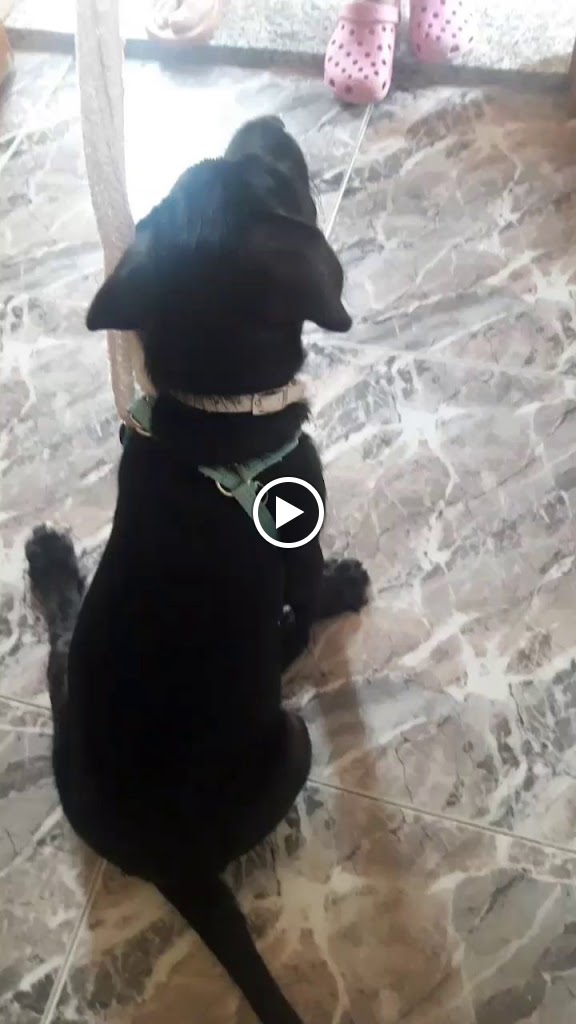 Chiringuito El Polvorin — Videos