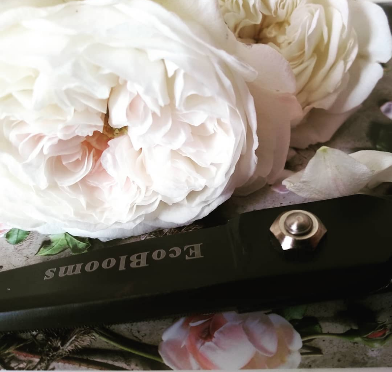 EcoBlooms
