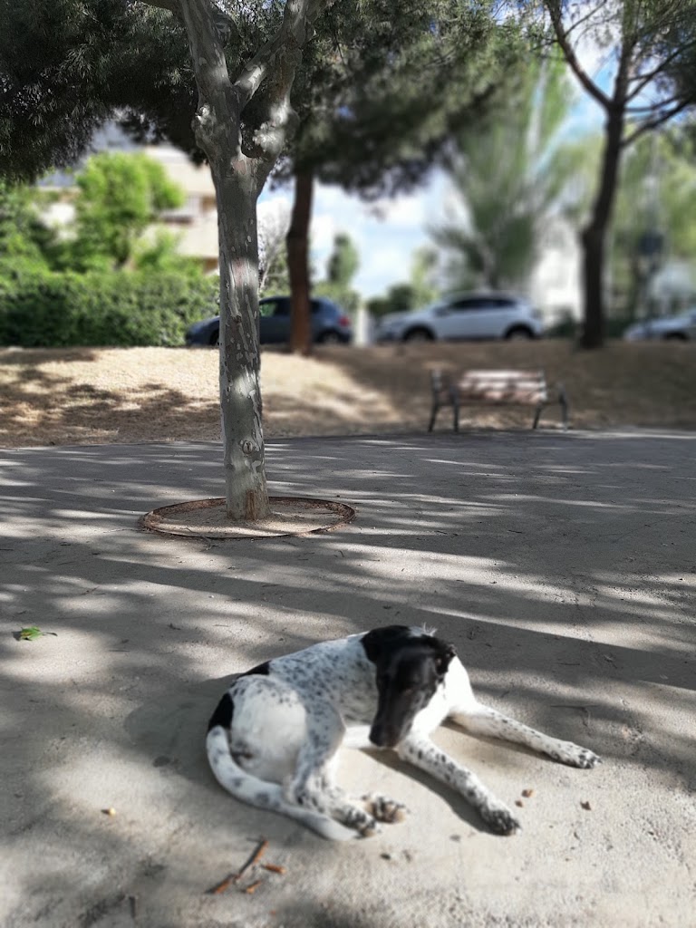Parque Delta