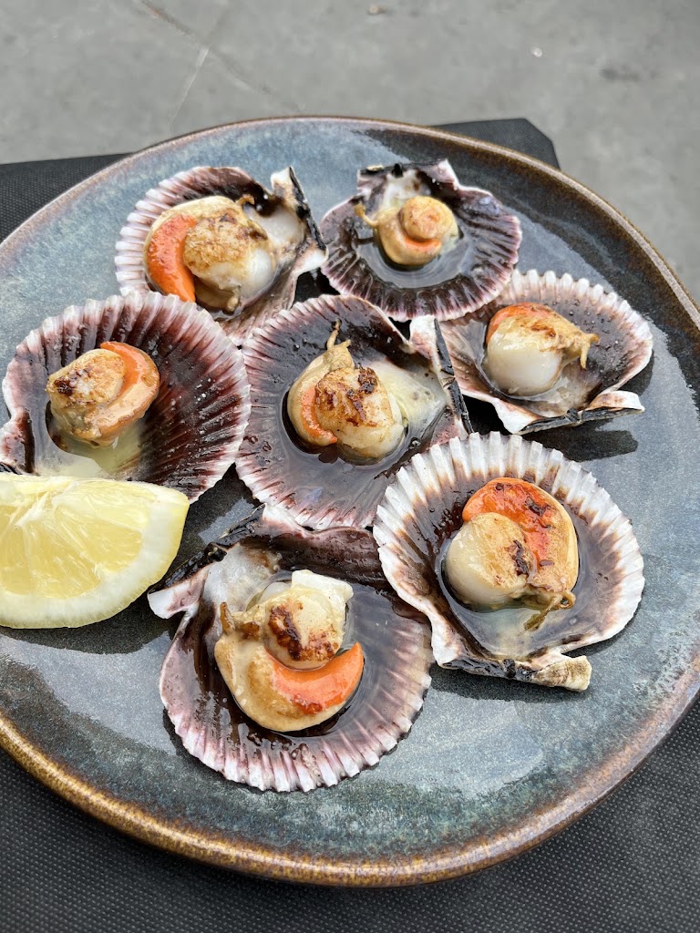 Restaurante Santiago — Pectinidae