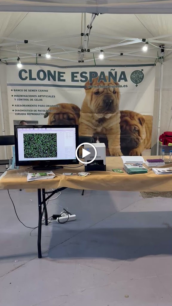 Clinican Centre Veterinari — Del propietario