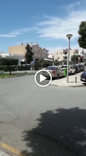 Videos