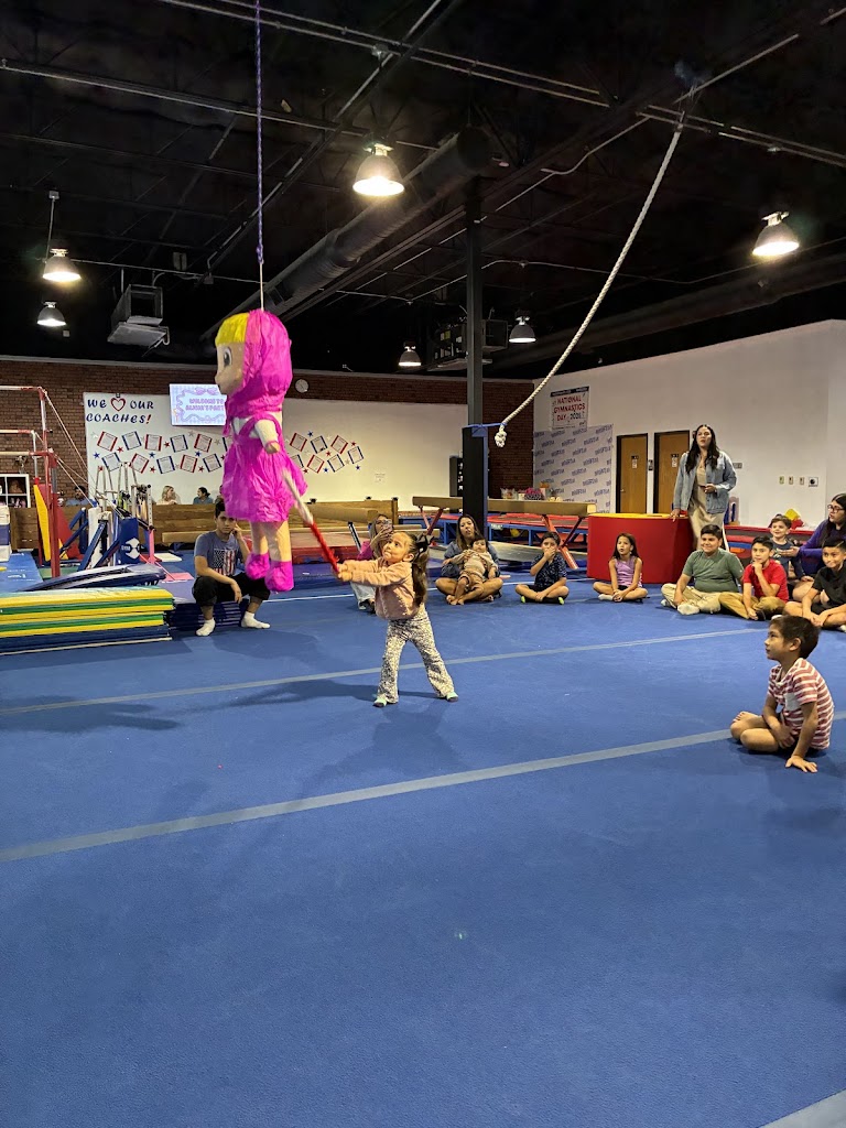  Bright Star Gymnastics
