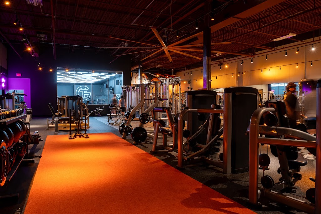  The Gym (TG) Dunedin