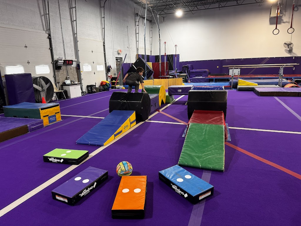  Wildcard Gymnastics