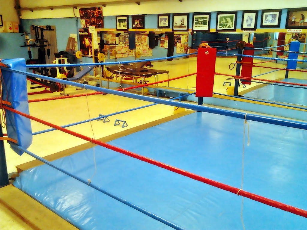 Boxing Club Cidade de Lugo — Del propietario