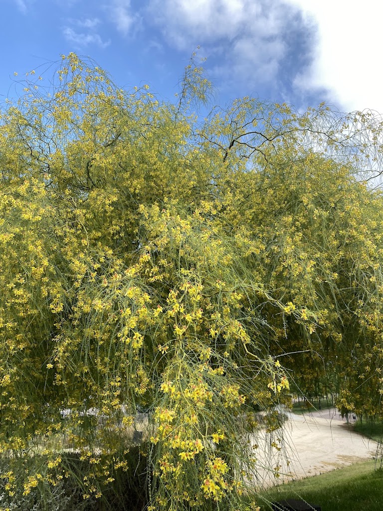 Aparcamiento Discapacitados