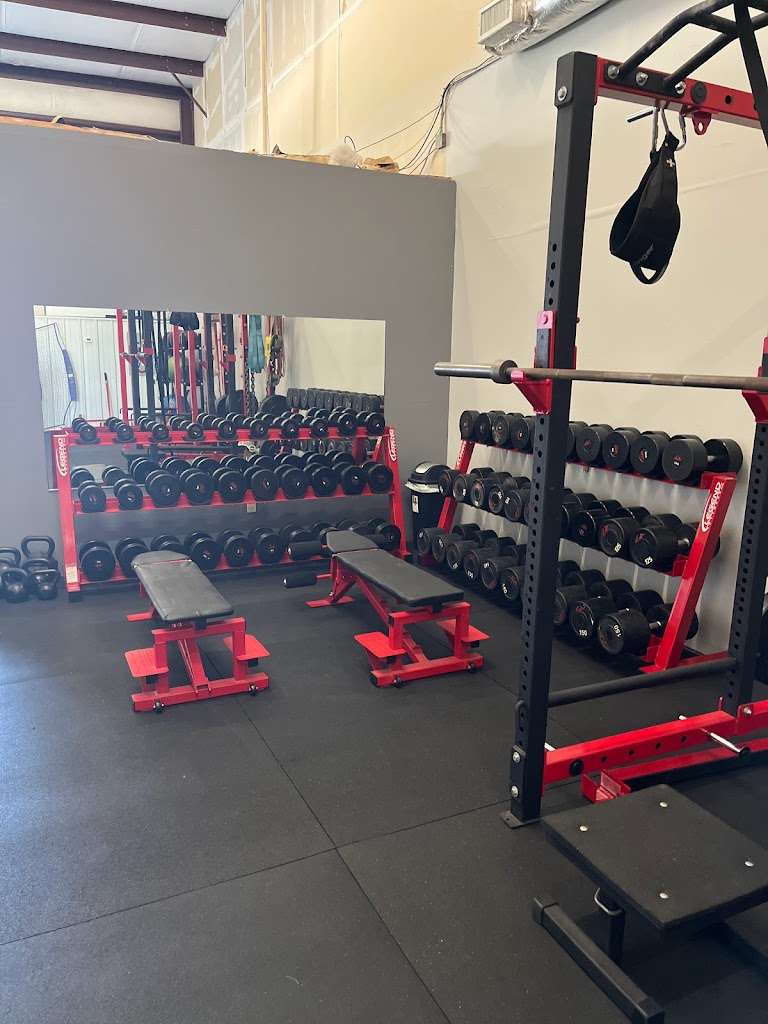  JP Schmidt Performance