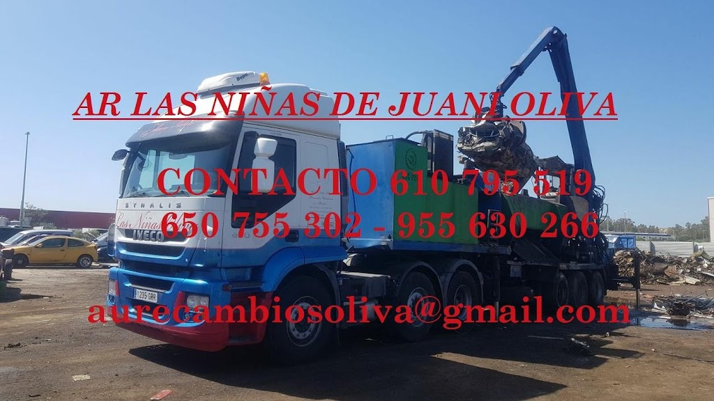 Autorecambios La Nina Oliva