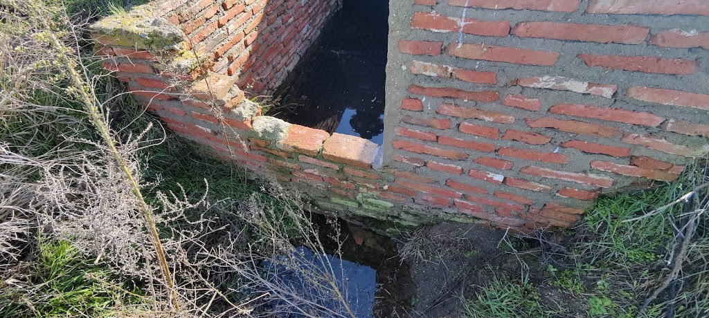 Fuente Buena