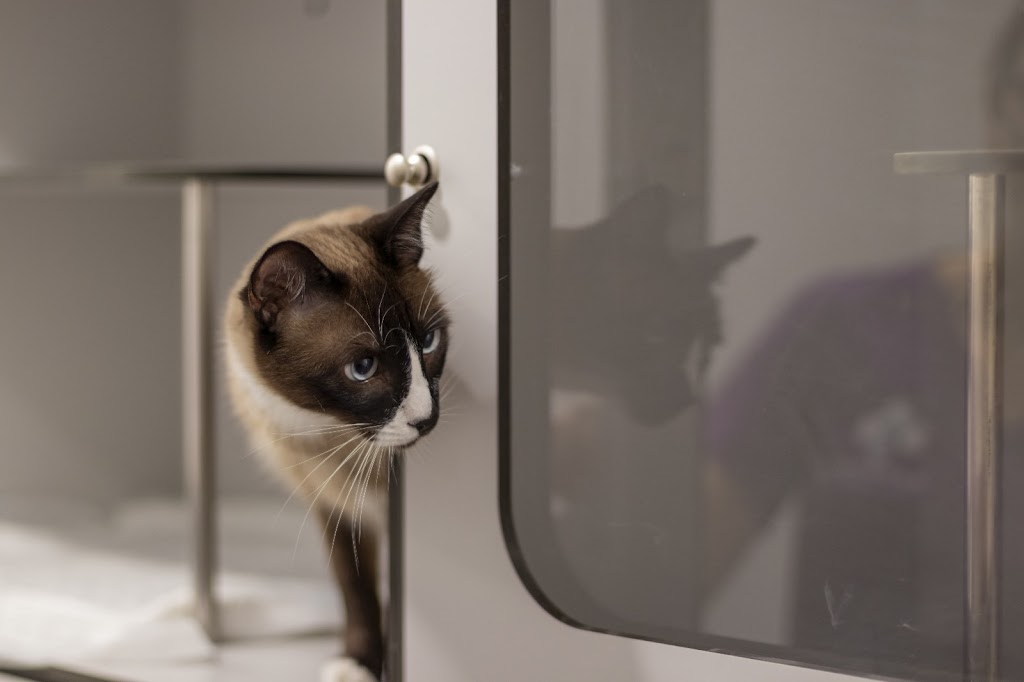 Clinica Veterinaria Zaratan