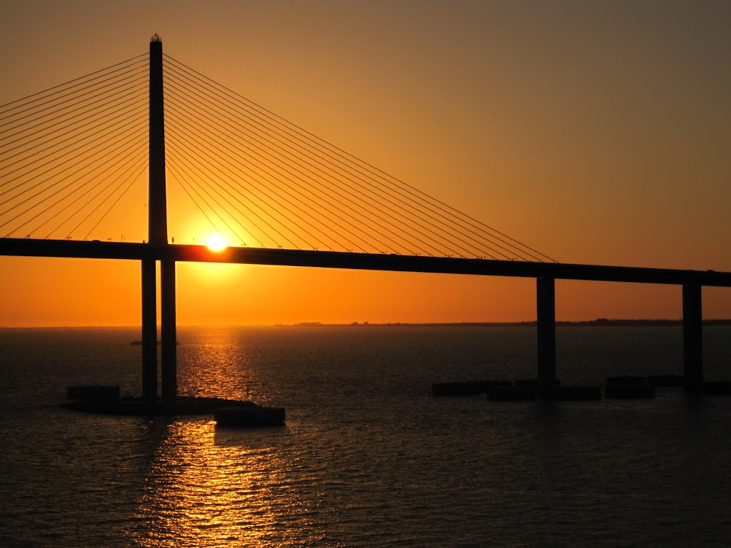 Skyway Web Design And Marketing