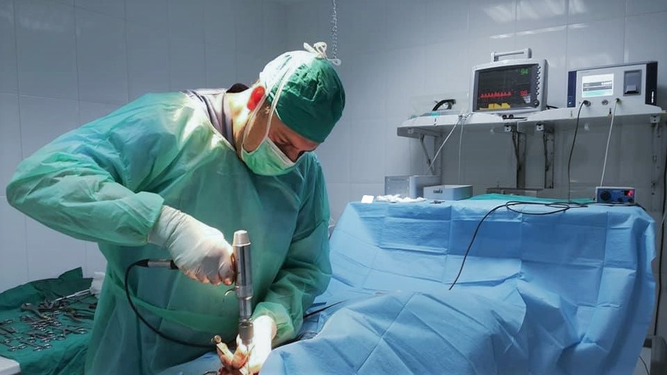 CLINICA VETERINARIA CHAMAN