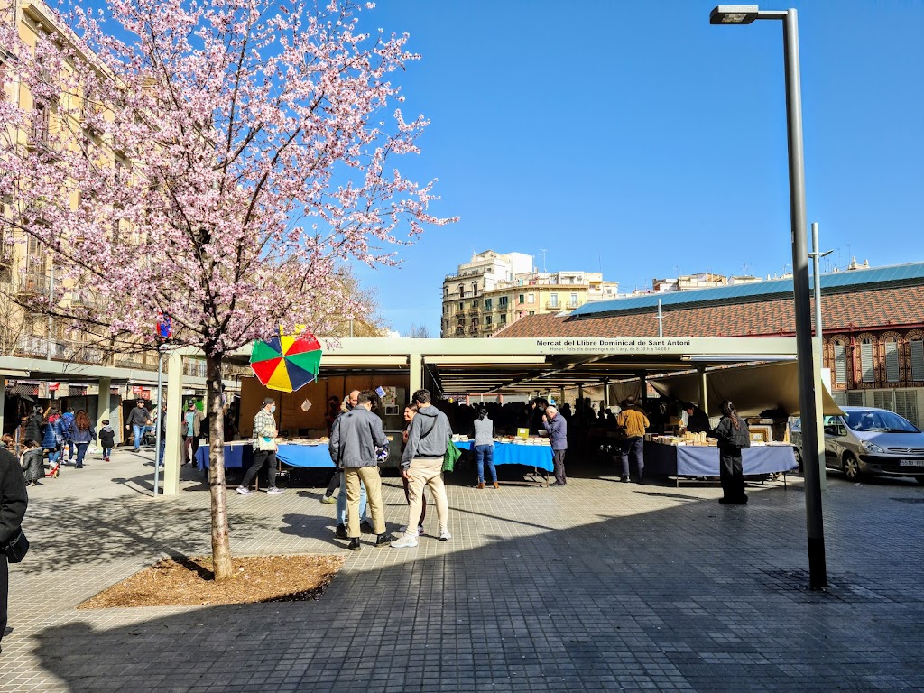 Mercado del Libro Dominical de San Antonio