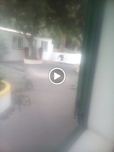 La Montaneta — Videos