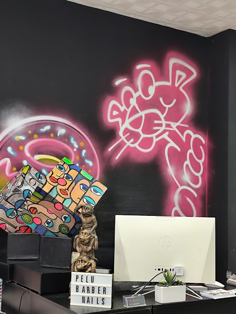 KAOS STUDIO