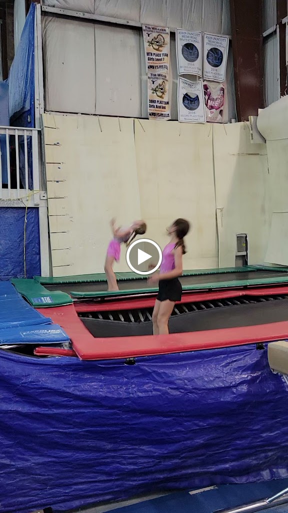  Showtime Gymnastics Academy