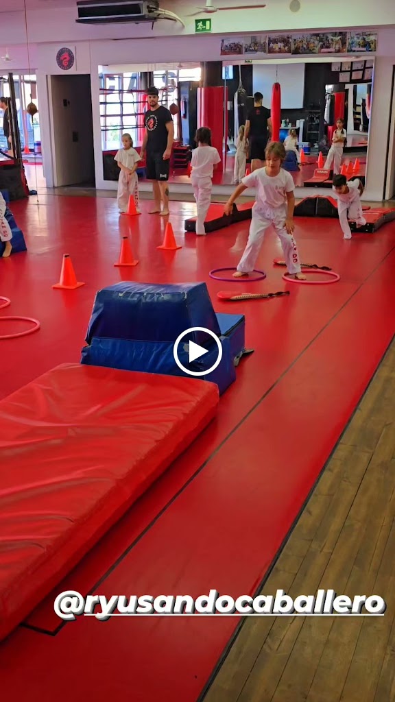 Ryu San Do Caballero Artes Marciales — Videos