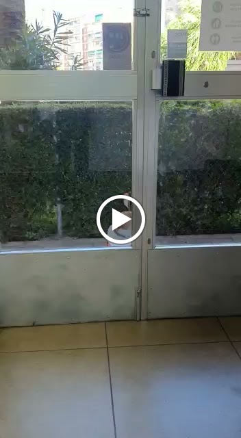Clinica Veterinaria Mascotiti Leganes — Videos