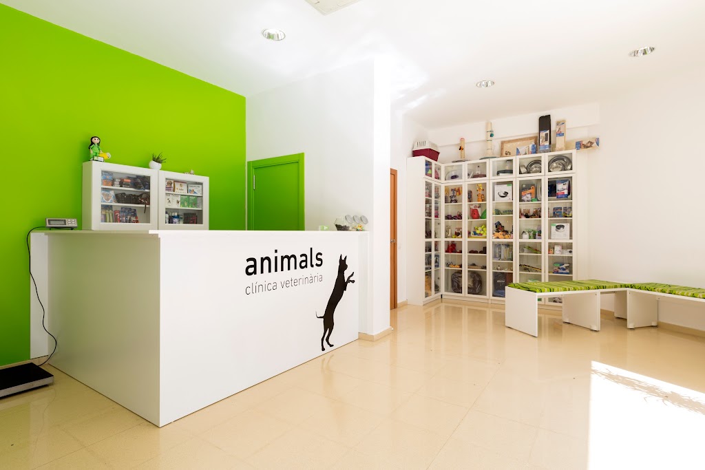 Animals Clinica Veterinaria