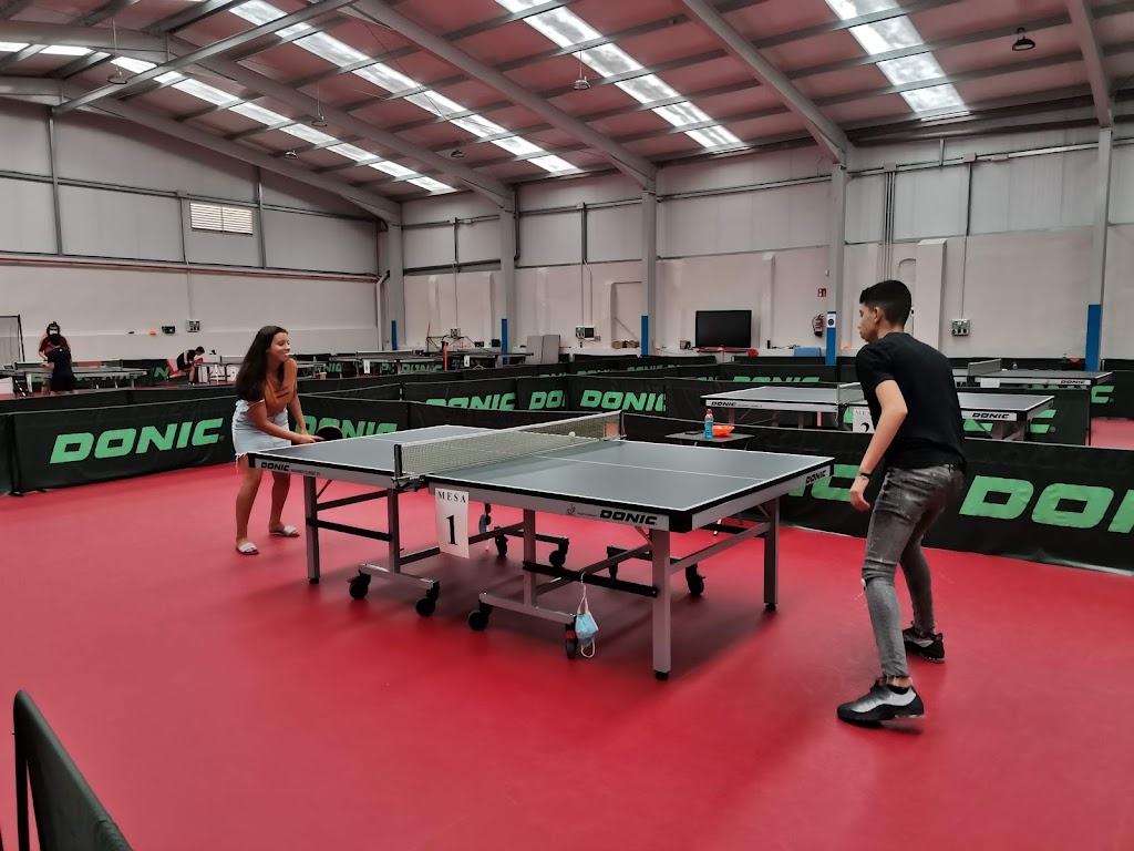 Always Tenis De Mesa