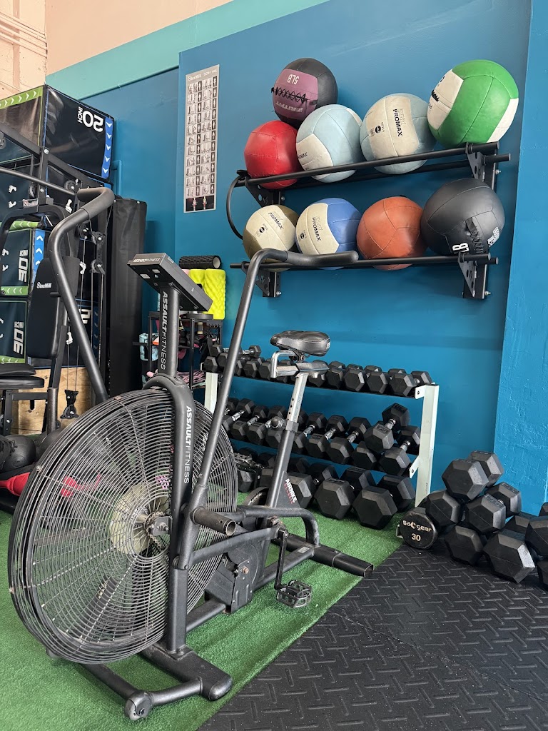  Dumbbell Fitness | Dumbbell Bar Nutrition -Fuctional Fitness, Smoothie Bar and Healthy Spot