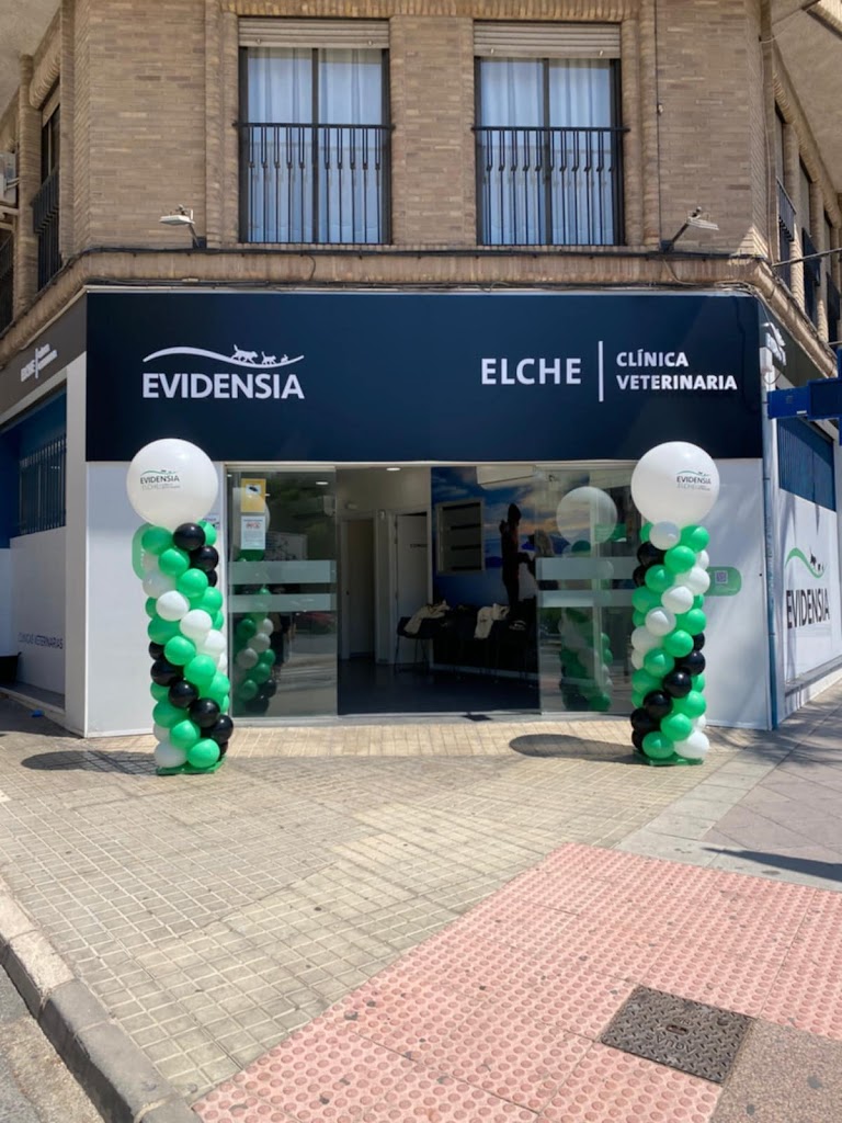 Evidensia Elche Clinica Veterinaria