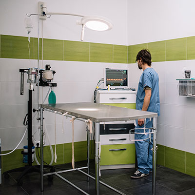 Clinica Veterinaria La mezquita — Del propietario