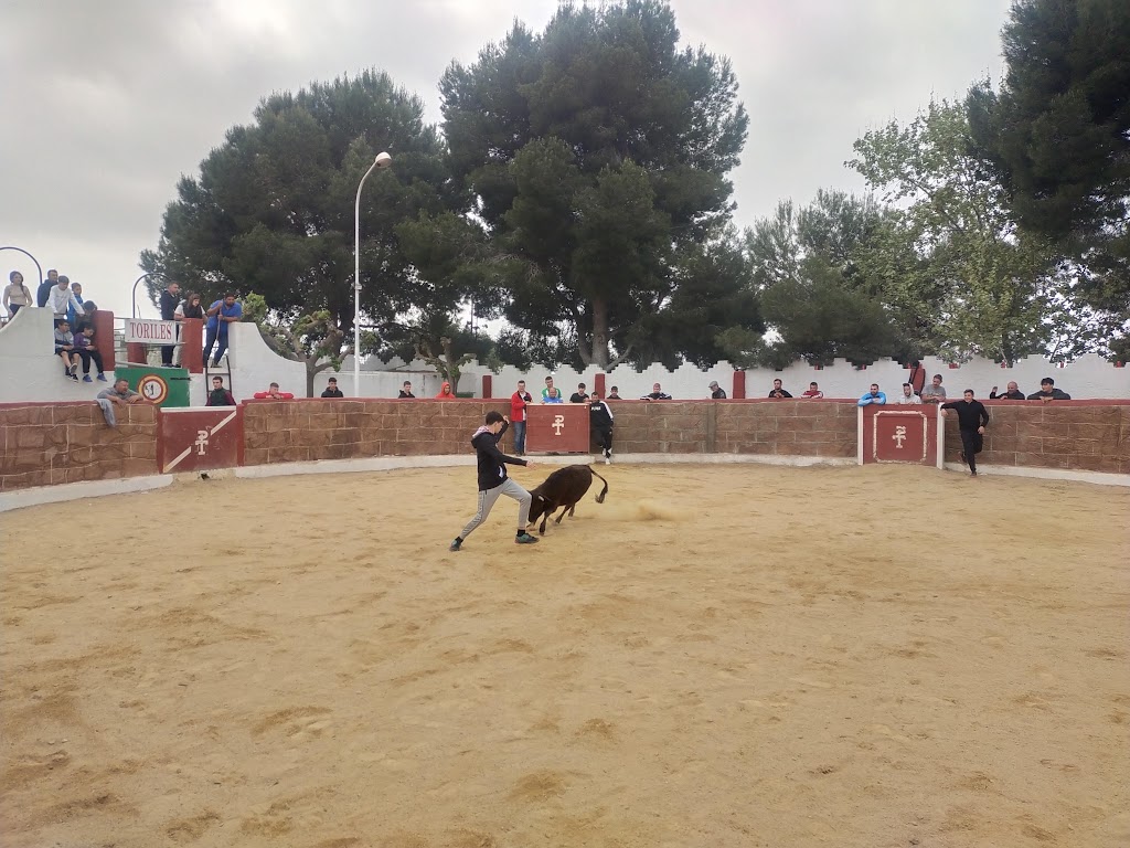 Tentadero Pan Y Toros