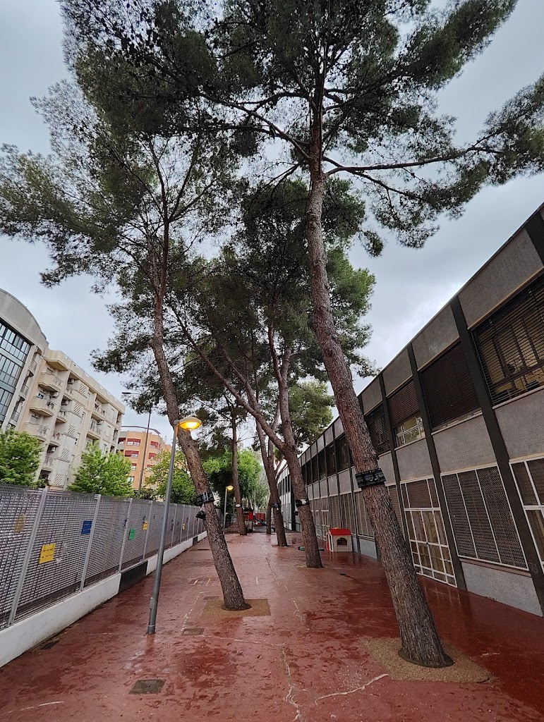 Colegio Publico Joan Martorell