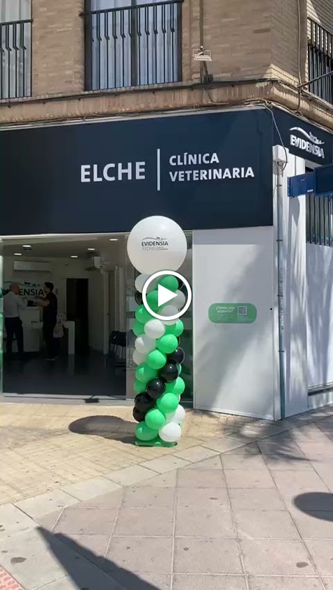 Evidensia Elche Clinica Veterinaria — Del propietario