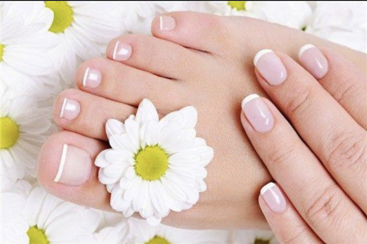 Centro De Belleza Integral Fini Castano