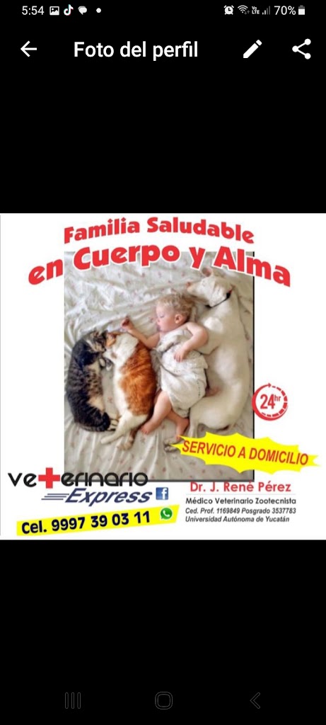 Veterinario Express Servicio A Domicilio — Del propietario