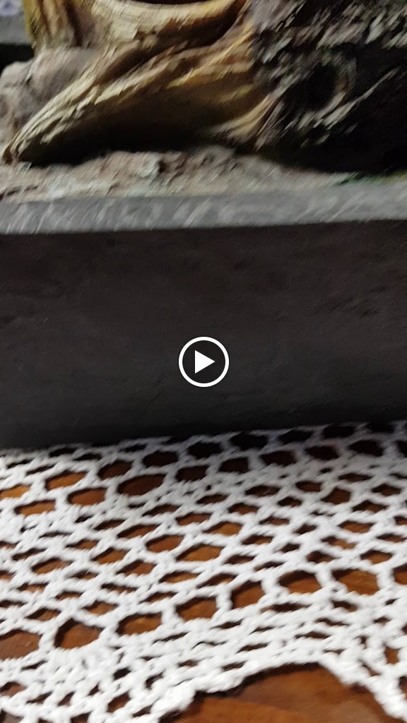 Restaurant pili&Pizzeria jordi — Videos